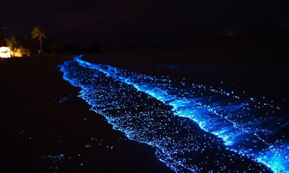 Có một bãi biển phát sáng ở quốc đảo thiên đường, 'đẹp nhất thế giới' Maldives