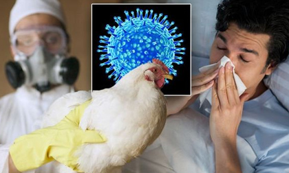 Có cần thiết loại bỏ các món từ trứng và gia cầm để phòng bệnh cúm A(H5N1) không?