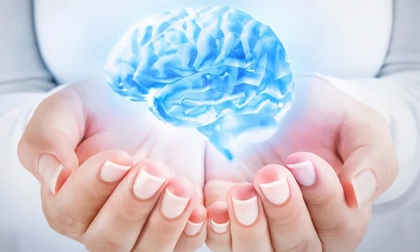 5 loại thực phẩm yêu thích của não bộ: Vừa trì hoãn lão hóa não, tăng cường trí nhớ lại tốt cho tim mạch, ngừa ung thư