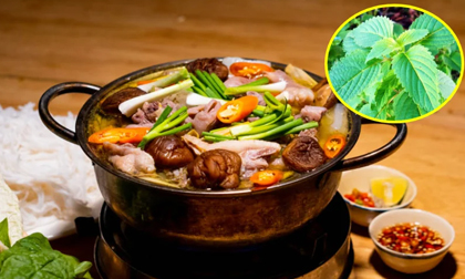 3 loại rau không nên nhúng lẩu, ăn nhiều hại thân