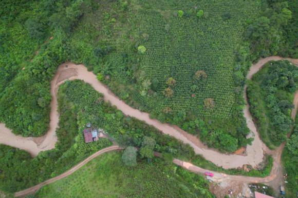 Nguyên nhân 4 du khách nước ngoài tử vong trong vụ lũ cuốn ở Lâm Đồng - Ảnh 1.