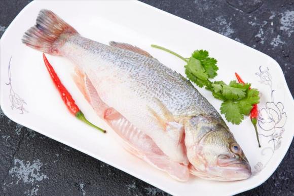 hấp cá, cá hấp, món cá, dạy nấu ăn