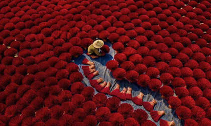 Dân mạng xứ Trung trầm trồ khen ngợi bộ ảnh 'Cánh đồng hương Việt Nam'