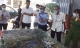 Vụ 22 người ăn hết 42,5 triệu hải sản: Kết luận của lãnh đạo TP. Nha Trang